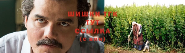 молекула духа Нязепетровск