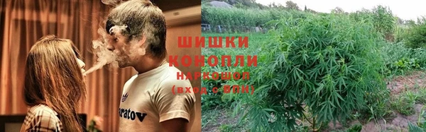 бошки Няндома