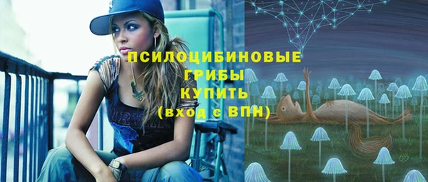 бошки Няндома