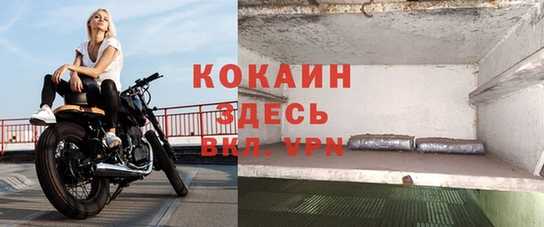 бошки Няндома