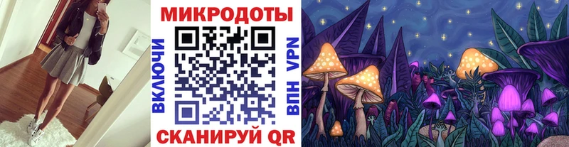 площадка официальный сайт  Ахтырский  Псилоцибиновые грибы Psilocybine cubensis 