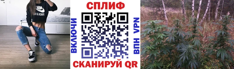 Марихуана OG Kush Ахтырский